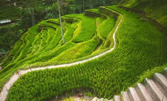 Bali (4) & Singapur (1) Turu - 4* Konaklama - Kişiye Özel 